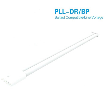 PLL-DR/BP